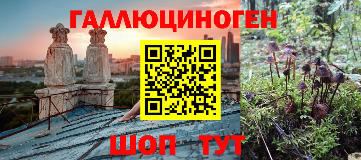Галлюциногенные грибы Psilocybe  Вход с VPN  Азнакаево  Галлюциногенные грибы Magic Shrooms 